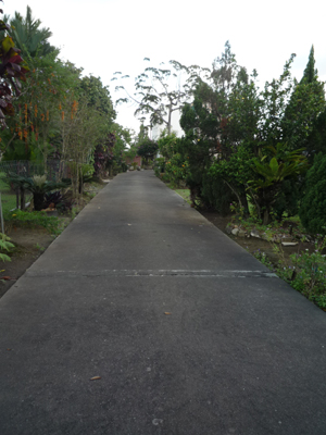 long-driveway