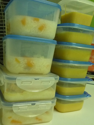 frozen-baby-food-1