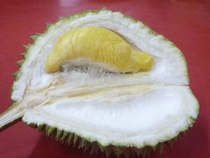 durians