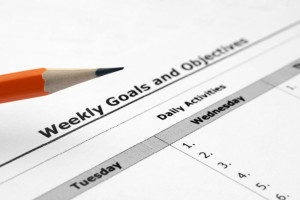 Weekly goals and objectives